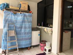 Phillips Avenue (D19), Terrace #215068391